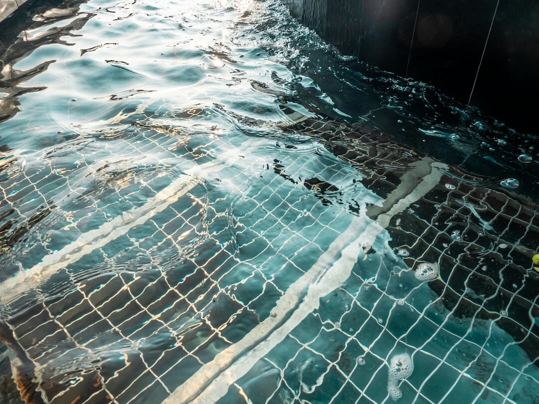 What Our Weekly Pool Cleaning Service Includes Image